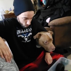 Meet your Posher, Dan